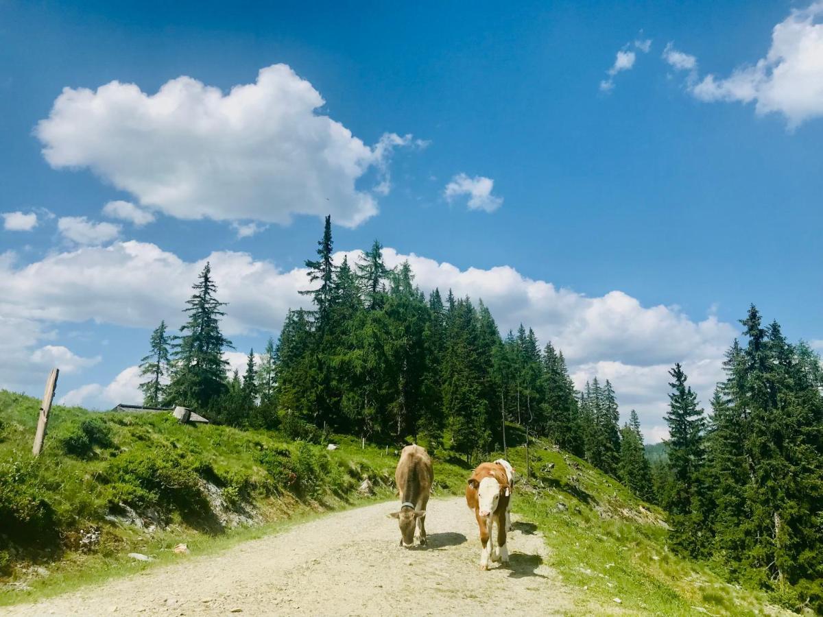 Séjour à la ferme Nasnergut *