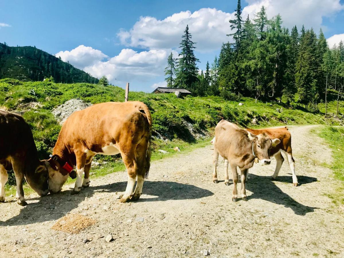 Farm stay Nasnergut Radstadt