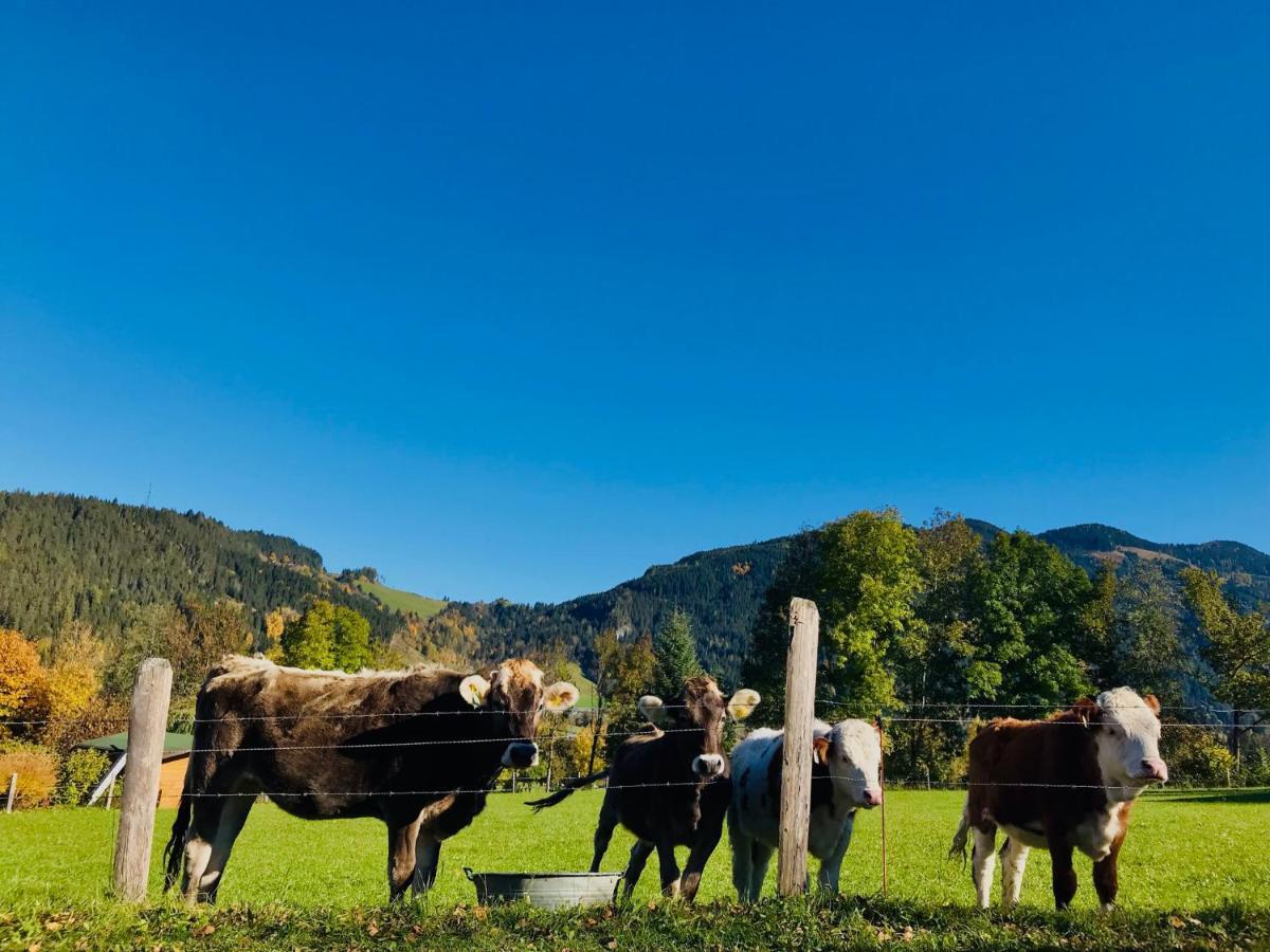 Nasnergut Farm stay